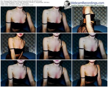 showup-mini_mouse-webcam-show-01_05_2018-16_51_50