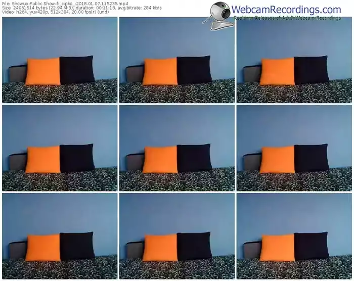 showup-_cipka_-webcam-show-01_07_2018-11_52_35