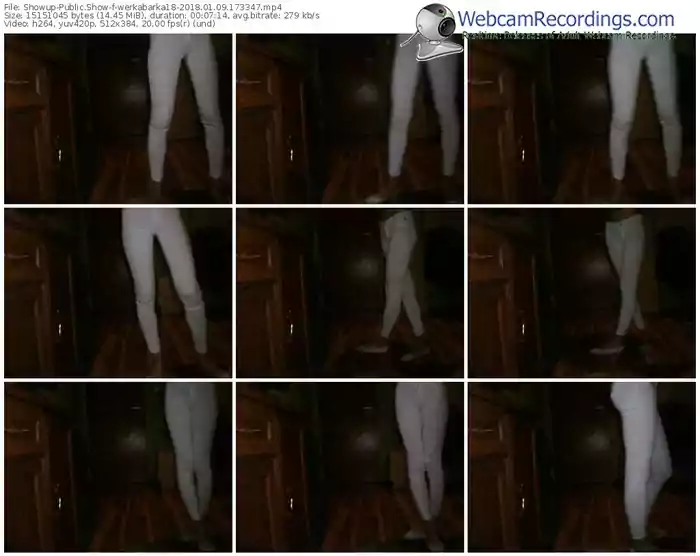 showup-werkabarka18-webcam-show-01_09_2018-17_33_47