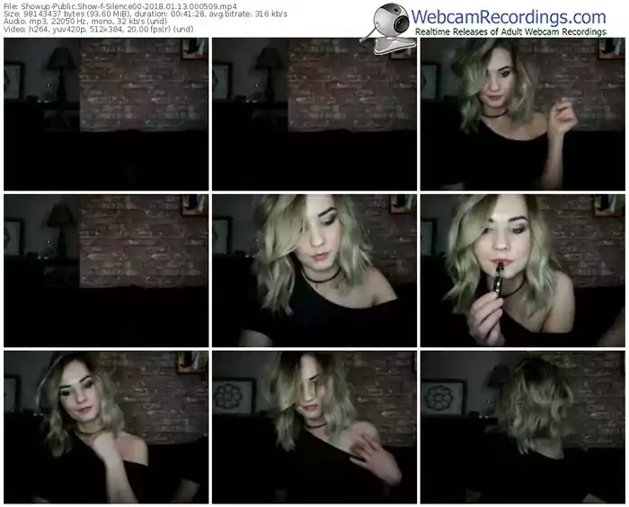 showup-silence00-webcam-show-01_13_2018-00_05_09