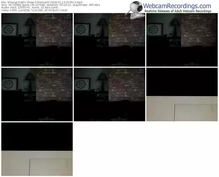 showup-silence00-webcam-show-01_13_2018-01_05_12