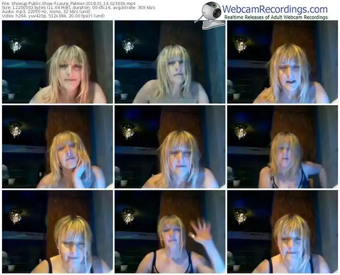 showup-laura_palmer-webcam-show-01_14_2018-02_30_39