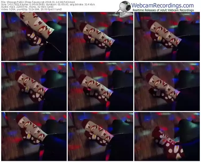 showup-pussycat-webcam-show-01_14_2018-06_15_43