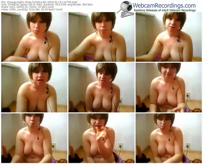 showup-vilemo321-webcam-show-01_19_2018-11_47_56