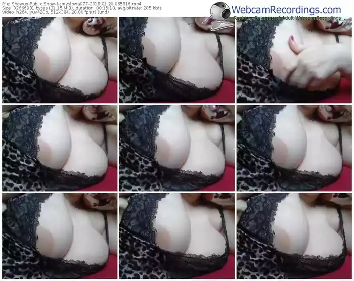 showup-zmyslowa077-webcam-show-01_20_2018-06_58_16