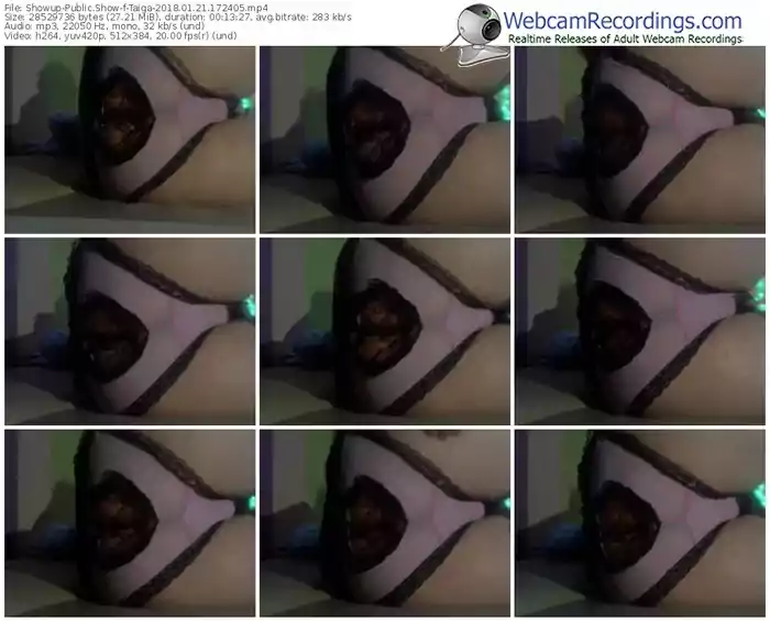 showup-taiga-webcam-show-01_21_2018-17_24_05