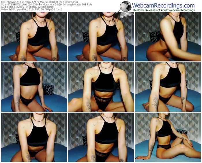 showup-mini_mouse-webcam-show-01_22_2018-16_29_22