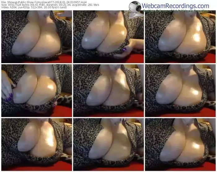 showup-zmyslowa077-webcam-show-01_24_2018-01_09_57