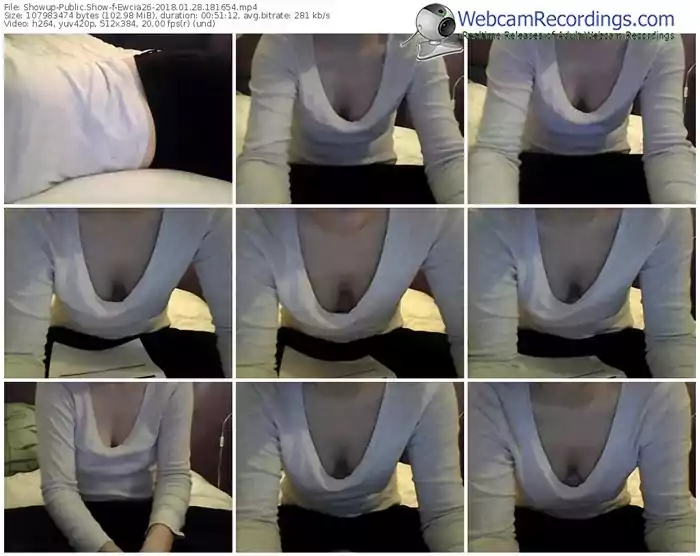 showup-ewcia26-webcam-show-01_28_2018-18_16_54