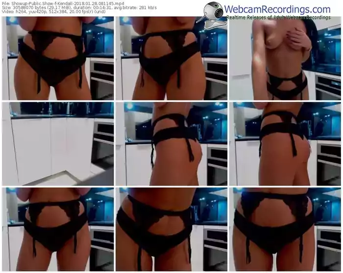 showup-kendall-webcam-show-01_28_2018-08_11_45