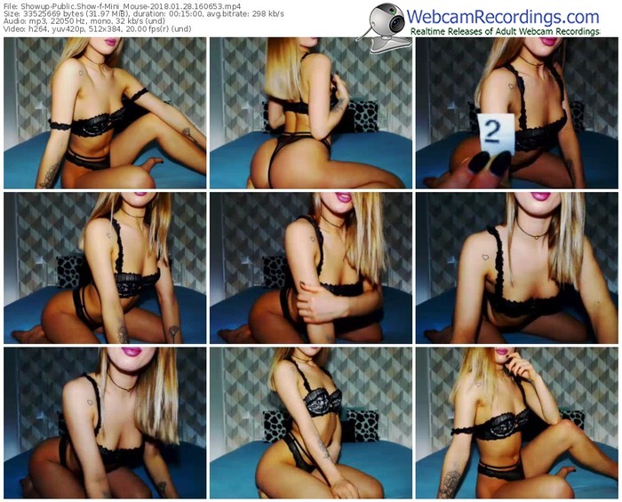 showup-mini_mouse-webcam-show-01_28_2018-16_06_53