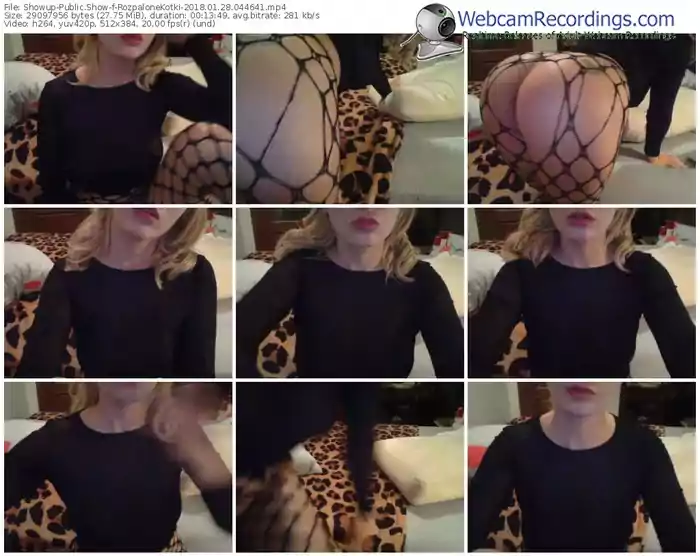 showup-rozpalonekotki-webcam-show-01_28_2018-04_46_41