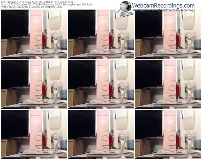 showup-_keiiiti_-webcam-show-01_28_2018-11_41_48