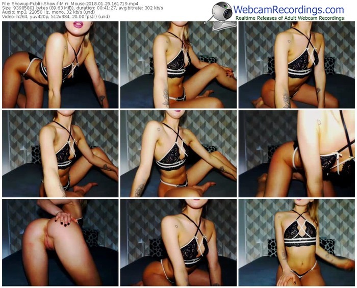 showup-mini_mouse-webcam-show-01_29_2018-16_17_19