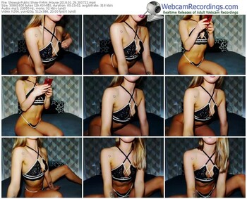 showup-mini_mouse-webcam-show-01_29_2018-20_07_22