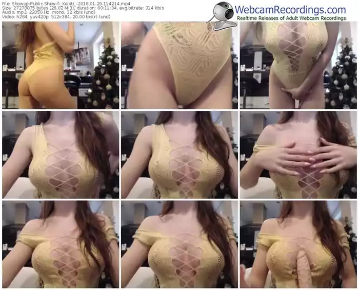 showup-_keiiiti_-webcam-show-01_29_2018-11_42_14