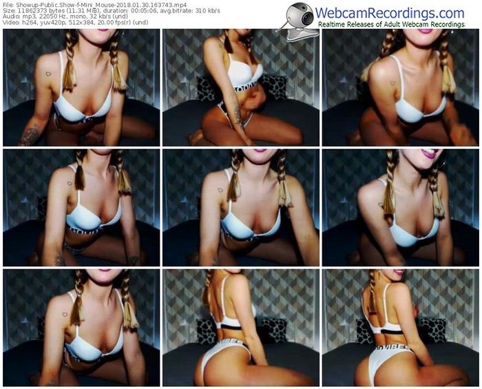 showup-mini_mouse-webcam-show-01_30_2018-16_37_43