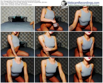 showup-mini_mouse-webcam-show-02_05_2018-22_16_52