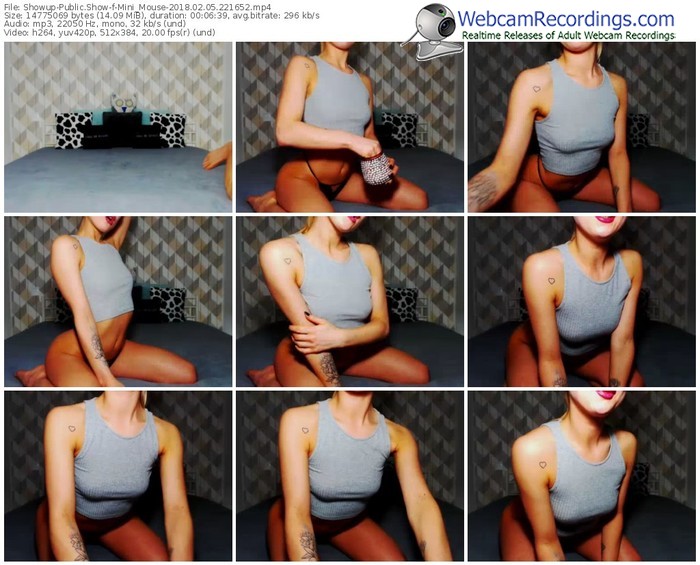 showup-mini_mouse-webcam-show-02_05_2018-22_16_52