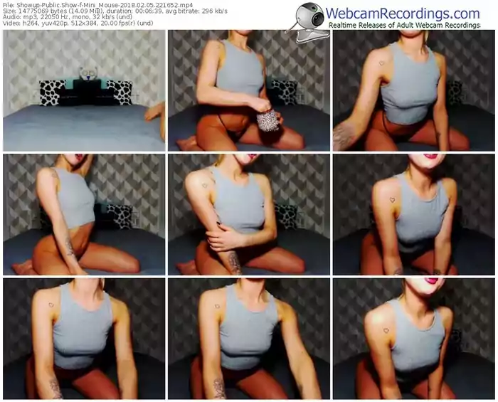 showup-mini_mouse-webcam-show-02_05_2018-22_16_52