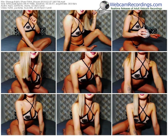 showup-mini_mouse-webcam-show-02_07_2018-18_07_38