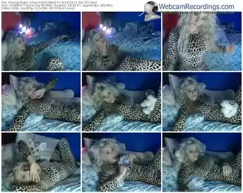 showup-kocurek272-webcam-show-02_11_2018-03_13_37