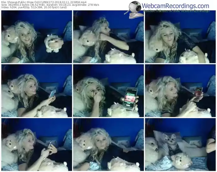 showup-kocurek272-webcam-show-02_11_2018-22_38_58