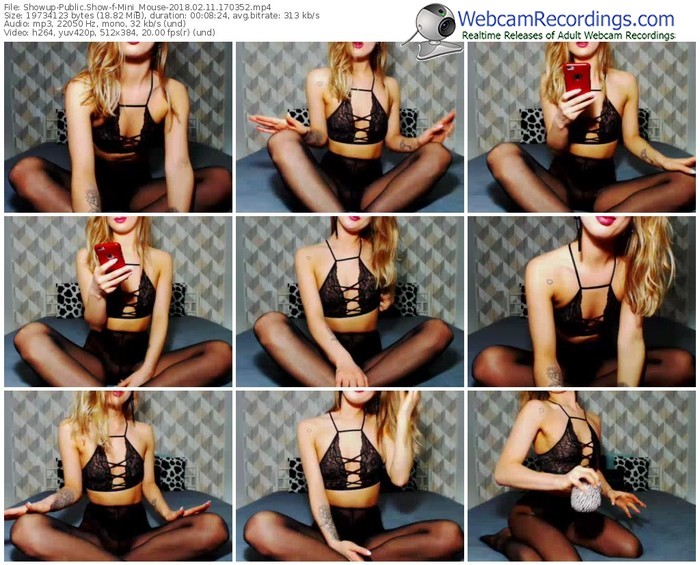 showup-mini_mouse-webcam-show-02_11_2018-17_03_52