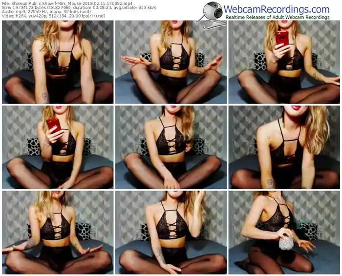 showup-mini_mouse-webcam-show-02_11_2018-17_03_52