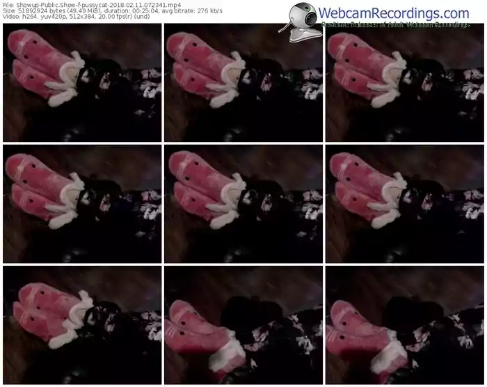 showup-pussycat-webcam-show-02_11_2018-07_23_41