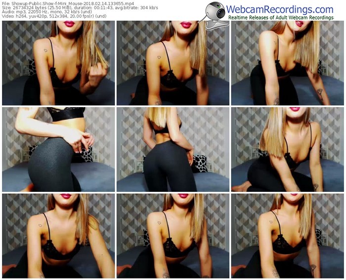 showup-mini_mouse-webcam-show-02_14_2018-13_36_55