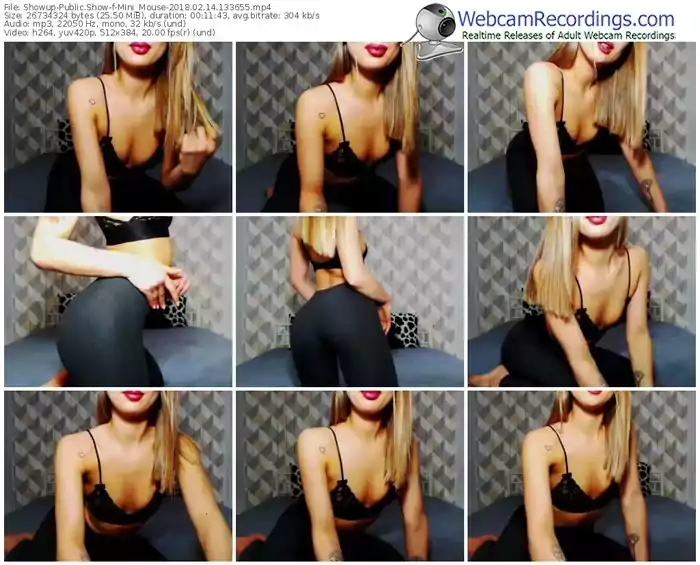 showup-mini_mouse-webcam-show-02_14_2018-13_36_55