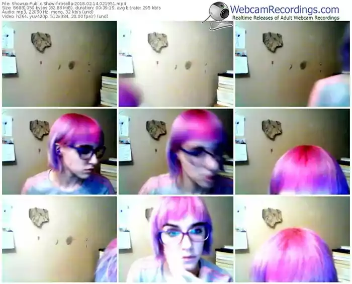 showup-rosella-webcam-show-02_14_2018-02_19_51