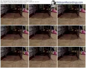 showup-pussycat-webcam-show-02_16_2018-03_52_27