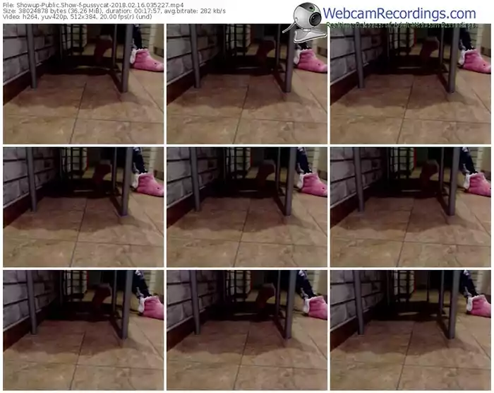 showup-pussycat-webcam-show-02_16_2018-03_52_27