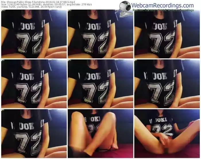 showup-sunshine-webcam-show-02_18_2018-07_38_19