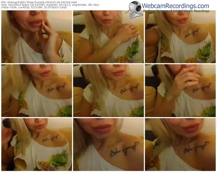 showup-vee26-webcam-show-02_18_2018-04_23_16