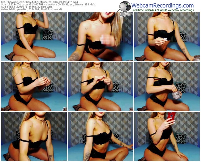 showup-mini_mouse-webcam-show-02_20_2018-19_04_37