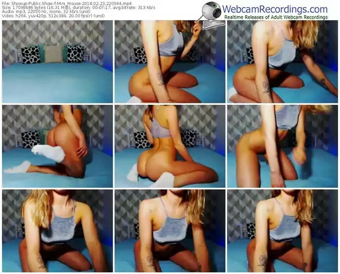 showup-mini_mouse-webcam-show-02_23_2018-22_05_44