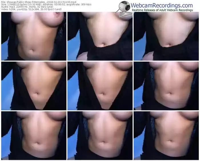 showup-mercedes_-webcam-show-02_24_2018-15_11_00