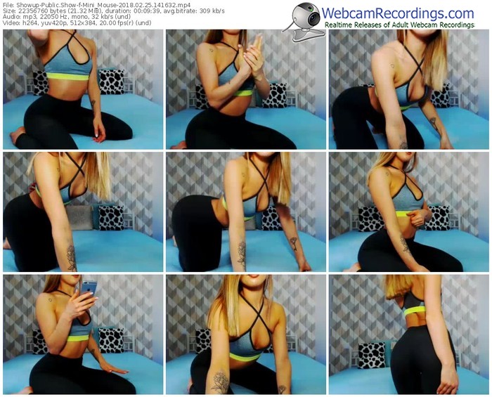 showup-mini_mouse-webcam-show-02_25_2018-14_16_32