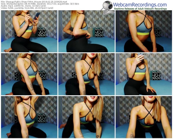 showup-mini_mouse-webcam-show-02_25_2018-19_36_28