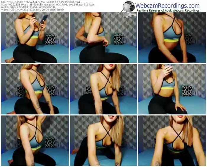 showup-mini_mouse-webcam-show-02_25_2018-19_36_28