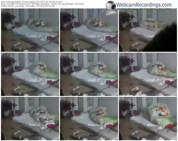 showup-gejka-webcam-show-02_25_2018-06_26_14