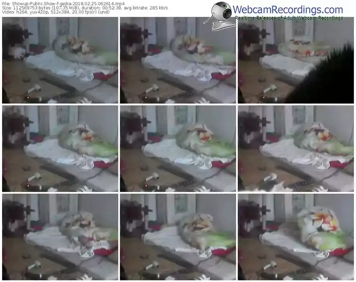 showup-gejka-webcam-show-02_25_2018-06_26_14