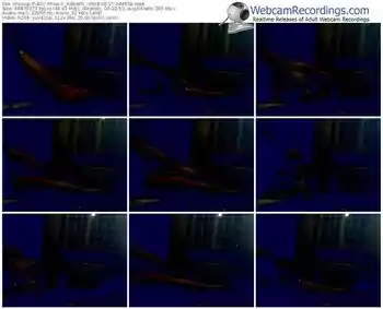 showup-_kobretti_-webcam-show-02_27_2018-04_46_58
