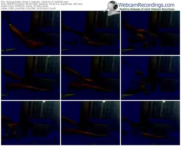 showup-_kobretti_-webcam-show-02_27_2018-04_46_58