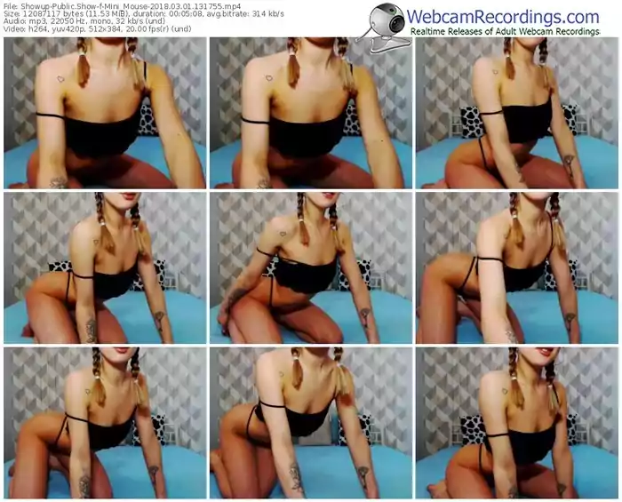 showup-mini_mouse-webcam-show-03_01_2018-13_17_55