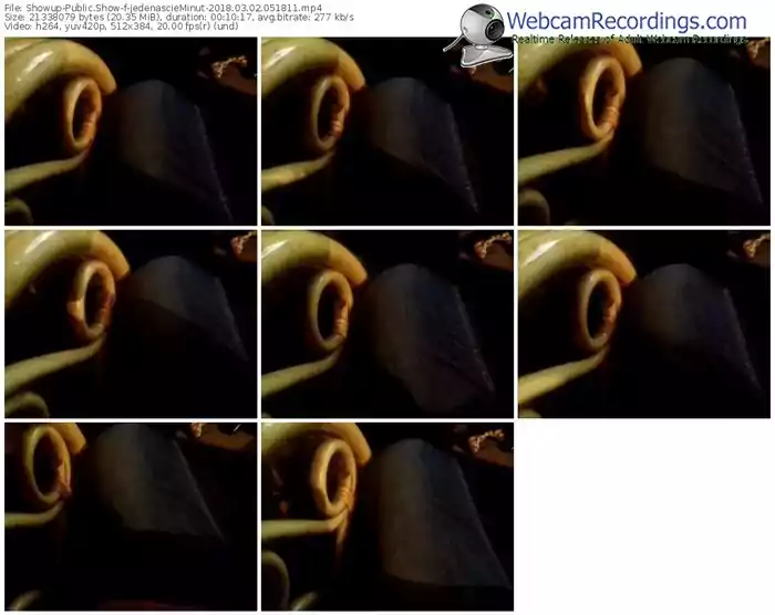 showup-jedenascieminut-webcam-show-03_02_2018-05_18_11