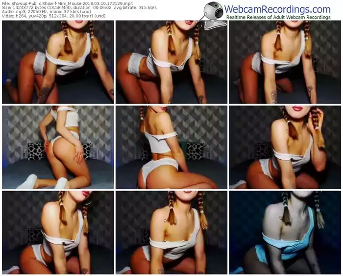 showup-mini_mouse-webcam-show-03_10_2018-17_21_29